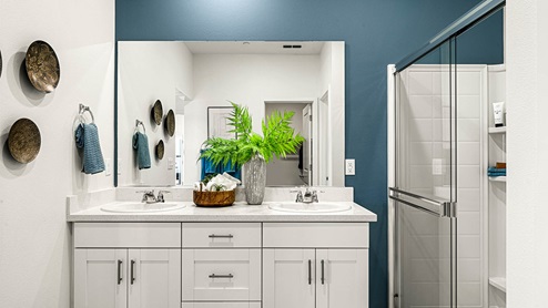 Owner's attached bathroom with dual sinks and walk-in shower