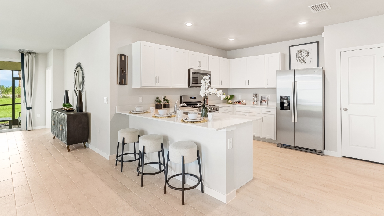 Inside of the Carrington Model