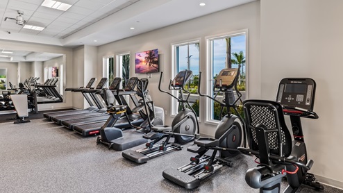 Amenity center fitness center with cardio machines