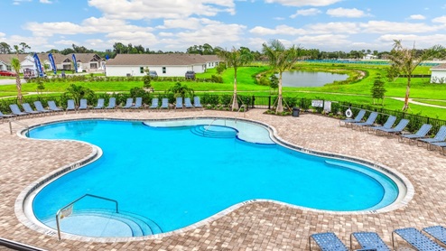 Amenity Pool