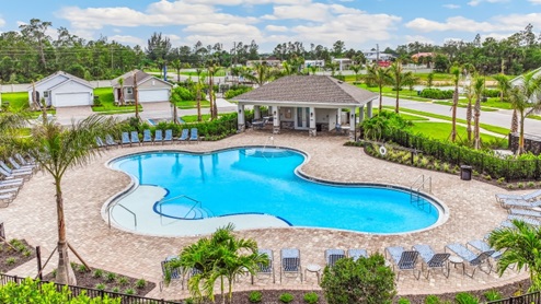 Amenity Pool