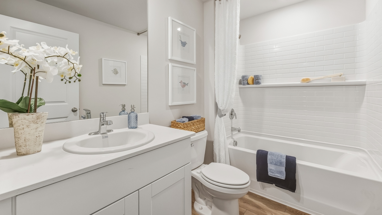 Inside of the Cali C model in Coral Lakes