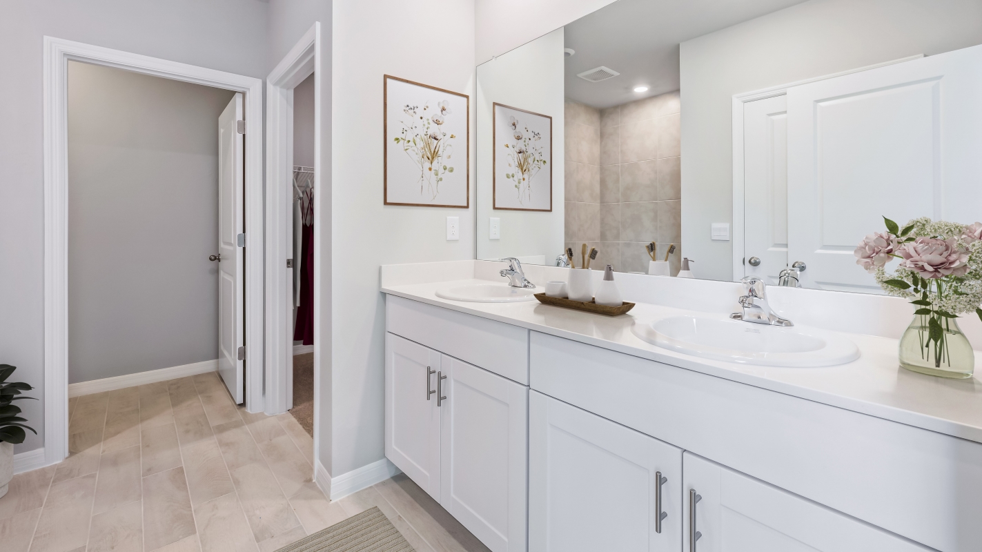 Lakeside Primary Bathroom countertops with white cabintery beneath and closet entrance.