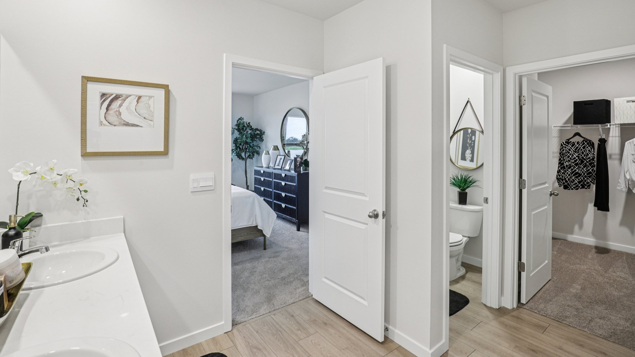 Inside of the Cali C Model