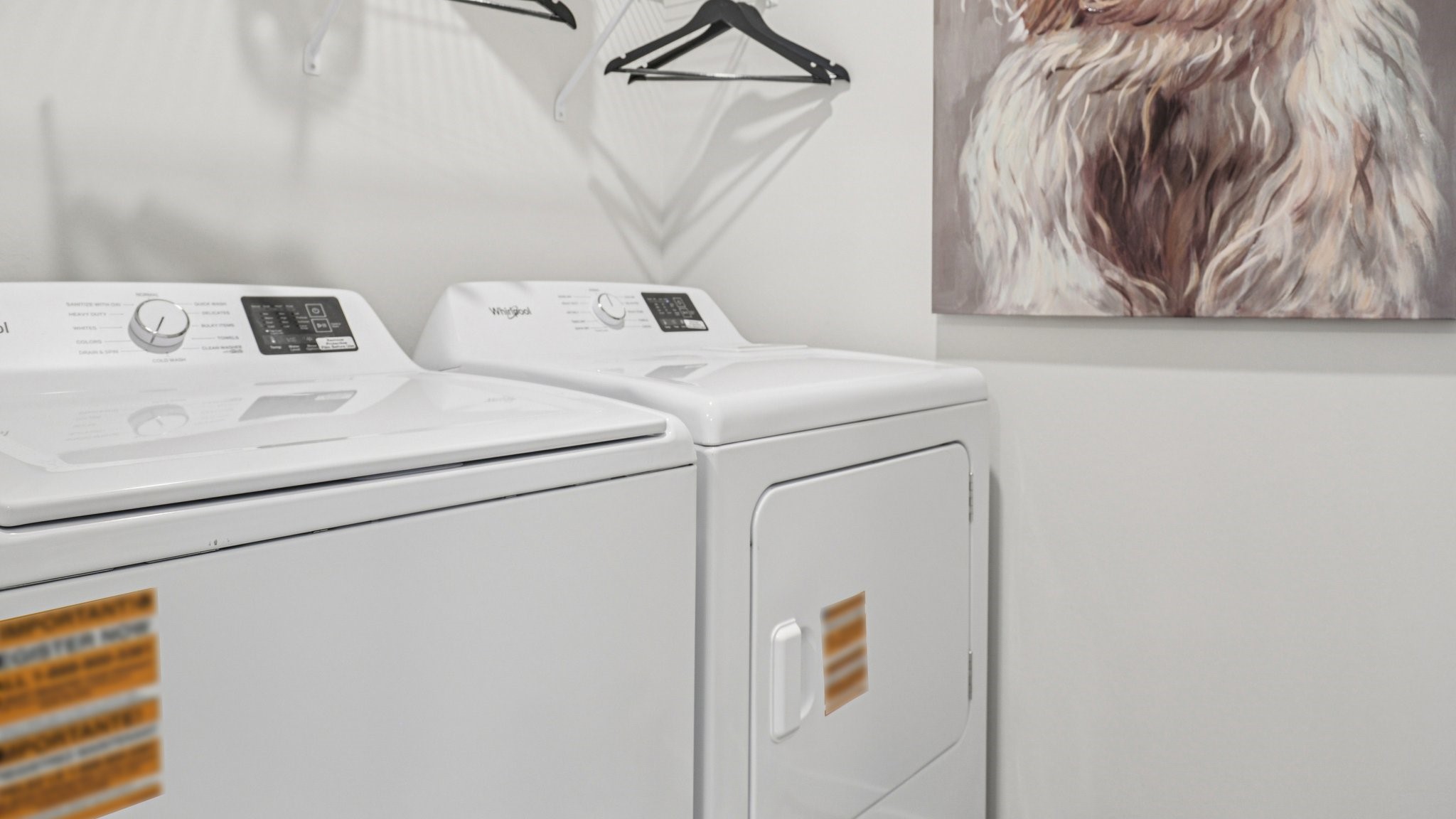 Inside of the Cali C Model