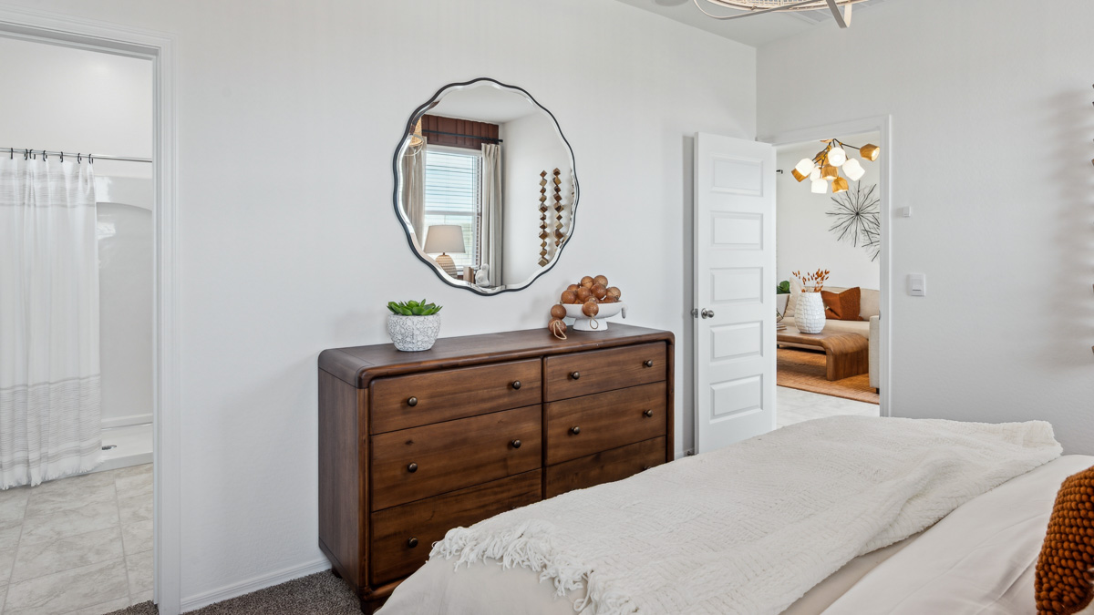 primary suite with walk in closet