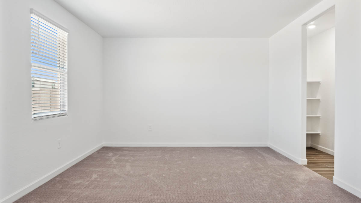 Primary bedroom with plush carpeting and a large walk-in closet.