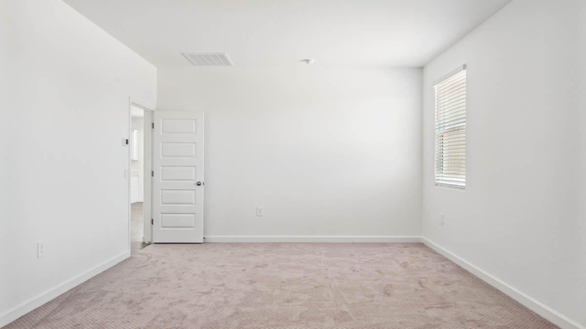 Primary bedroom with plush carpeting and a large walk-in closet.