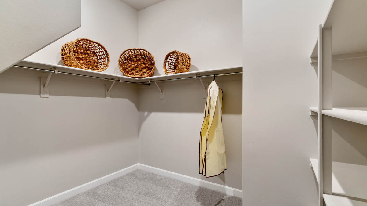 Arabella Little Rock Model