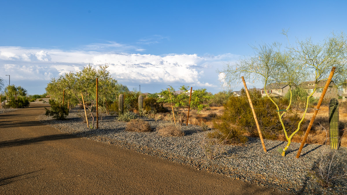 Talinn at Desert Ridge Phoenix D.R. Horton