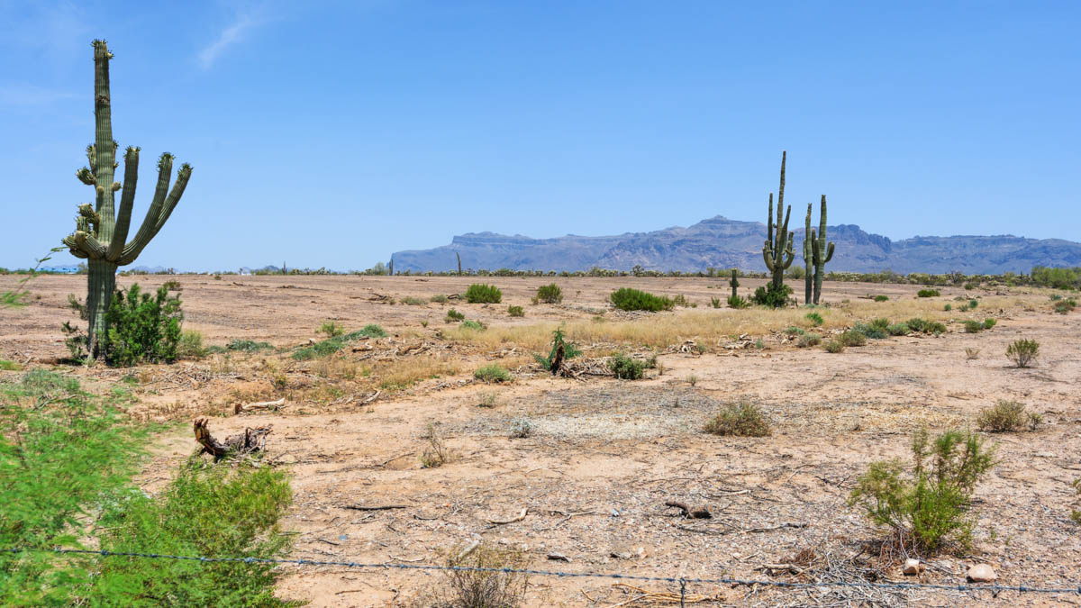 Entrada Del Oro Community