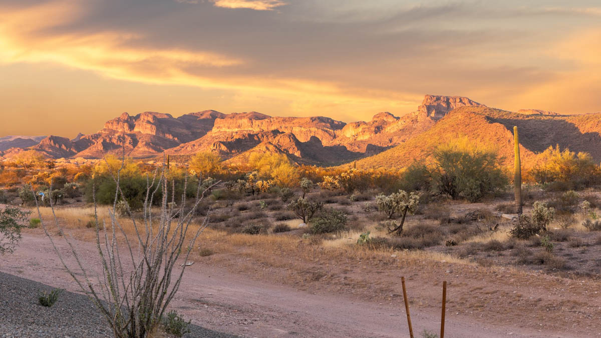 Entrada del Oro Community