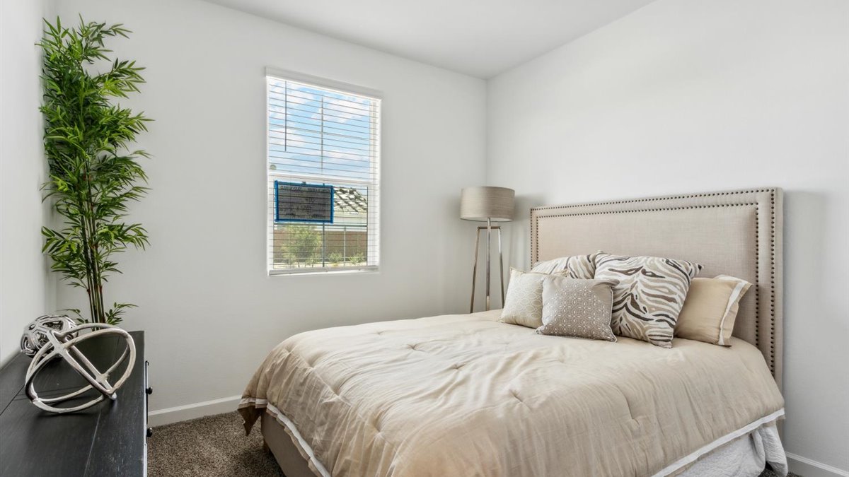 Camden bedroom with windows and carpet flooring