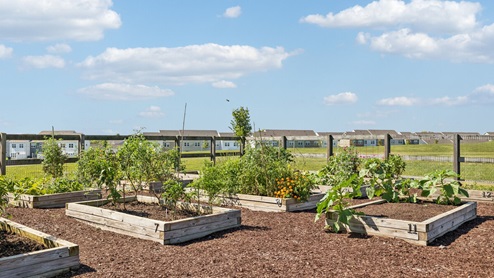 Amenities at Harvest Point