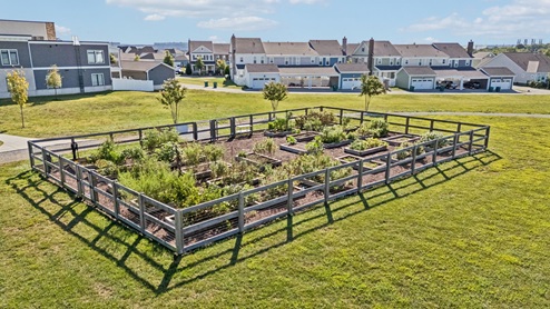 Amenities at Harvest Point