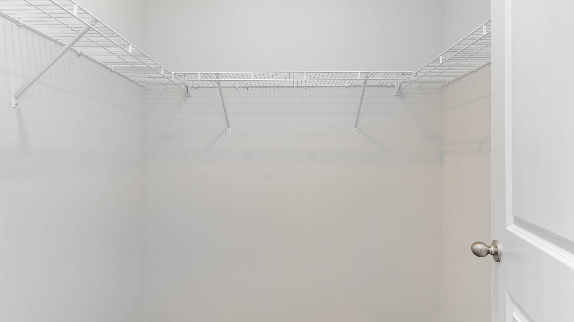 Primary closet with ventilated shelving and carpet flooring