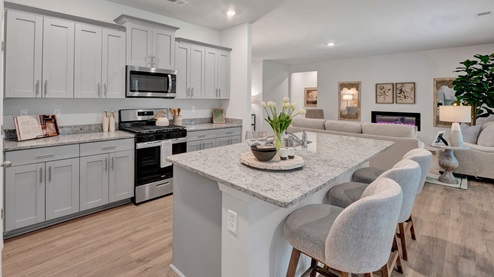 riverwood gardens new home community in oakland tennessee cairn plan kitchen with beautiful granite countertops