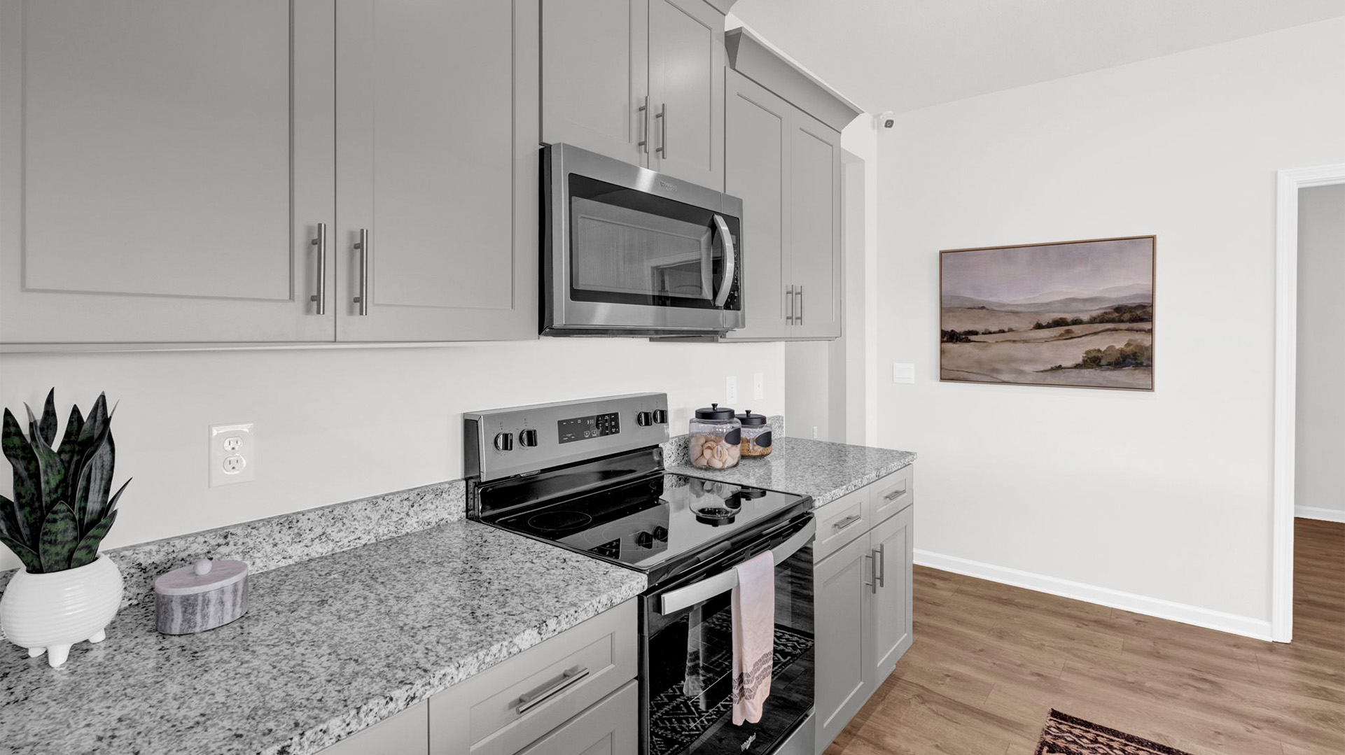 Beautiful soft closing cabinets with pull handles