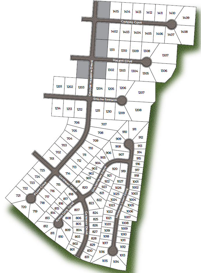 New Homes in Shiloh Springs Jackson, TN D.R. Horton