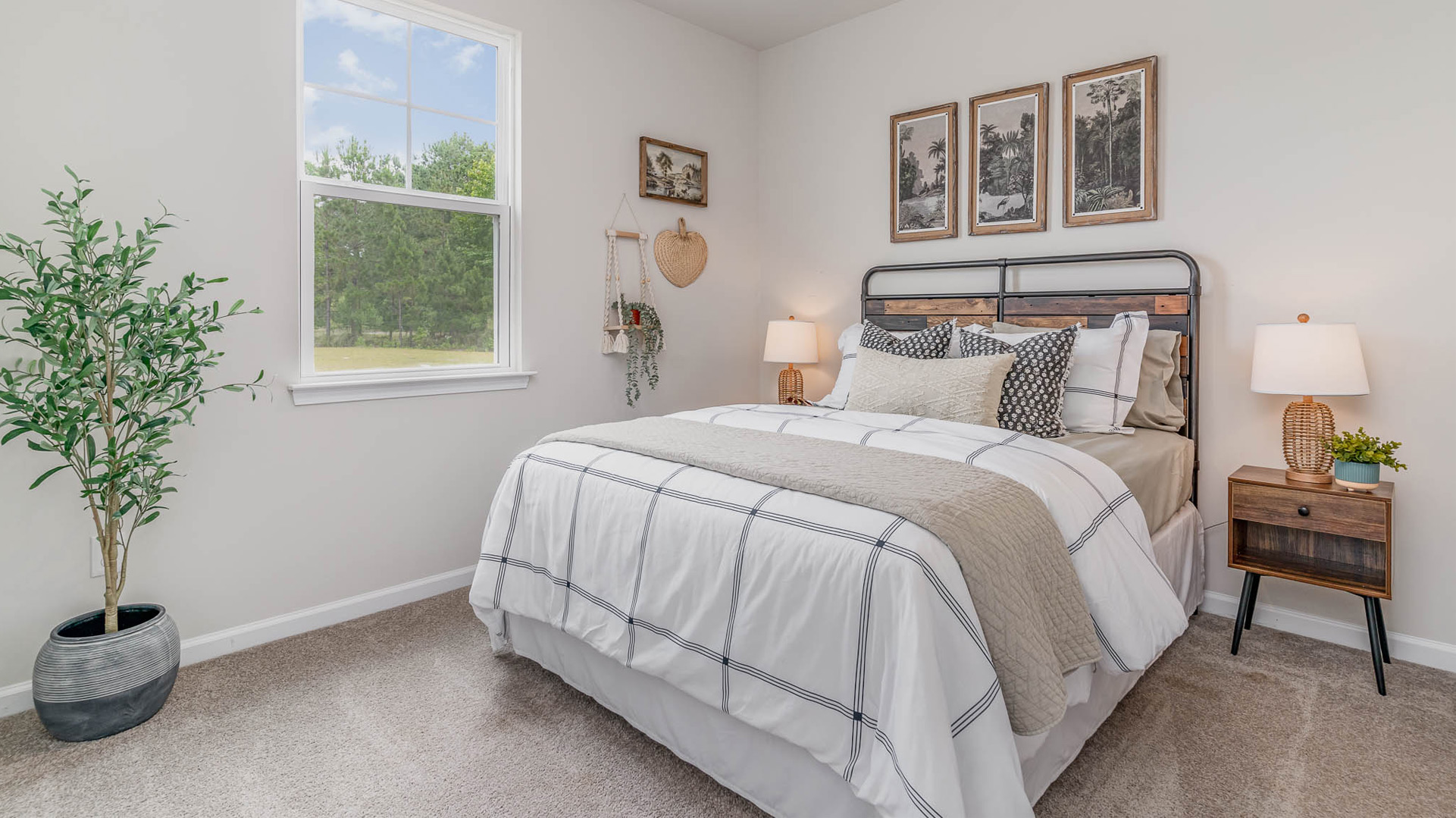 second bedroom with tall single window for natural light