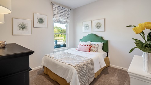 secondary bedroom with light neutral walls, carpet flooring and tall window for natural light