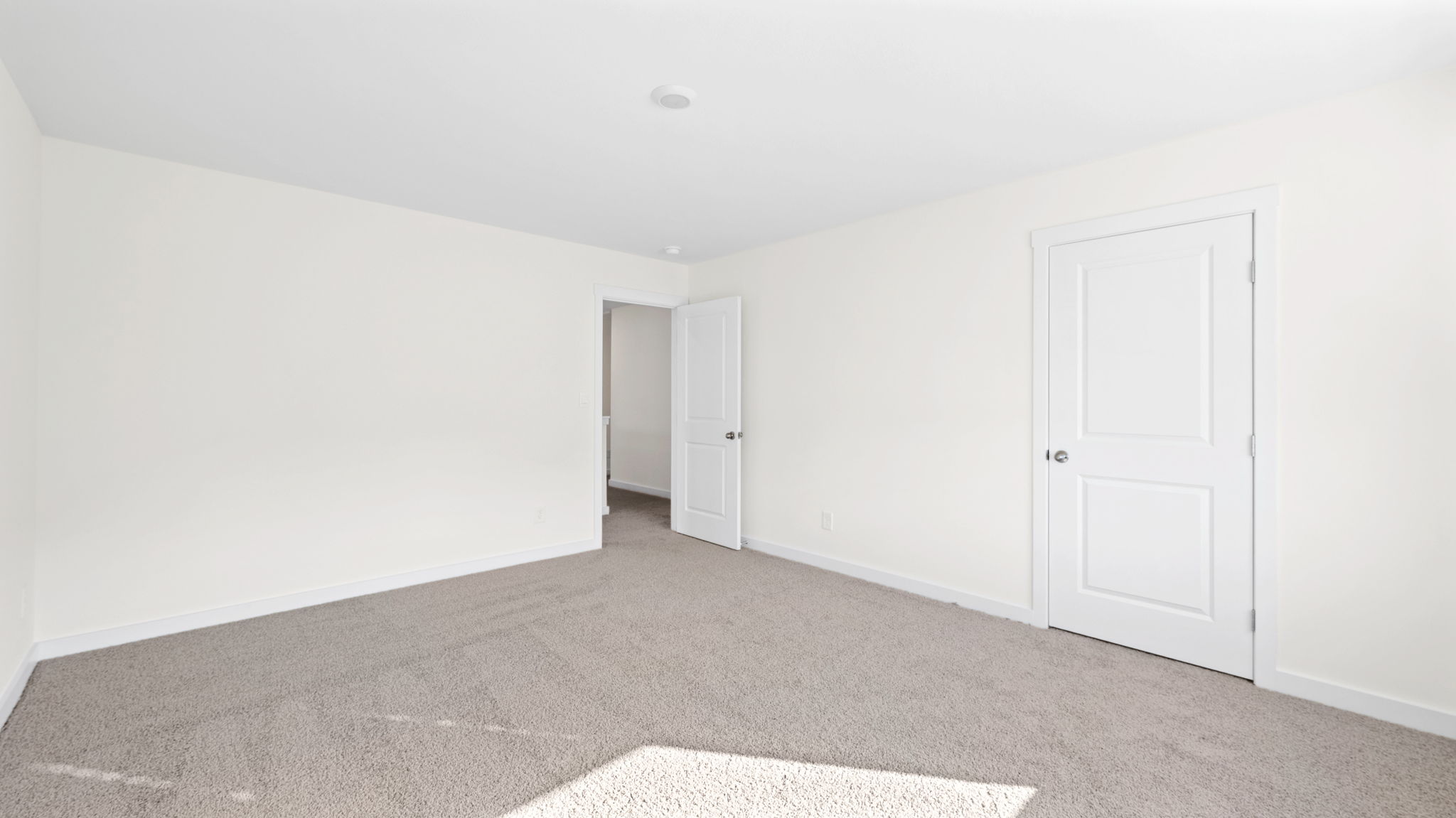 bedroom with double window and walk-in closet
