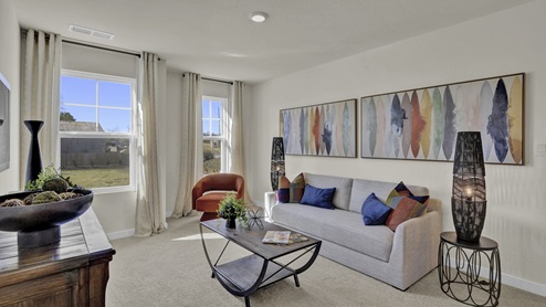 Entertainment space with carpet