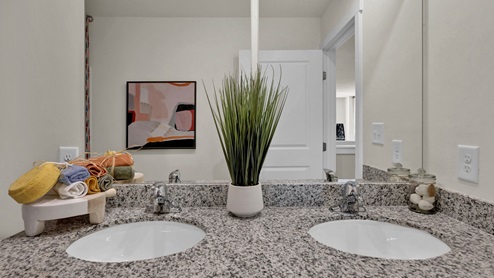 Guest bathroom with double vanity