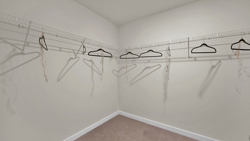 Primary closet with shelving