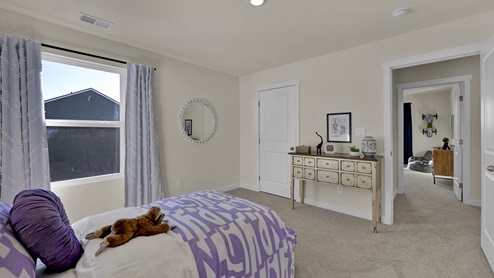 Guest bedroom with closet