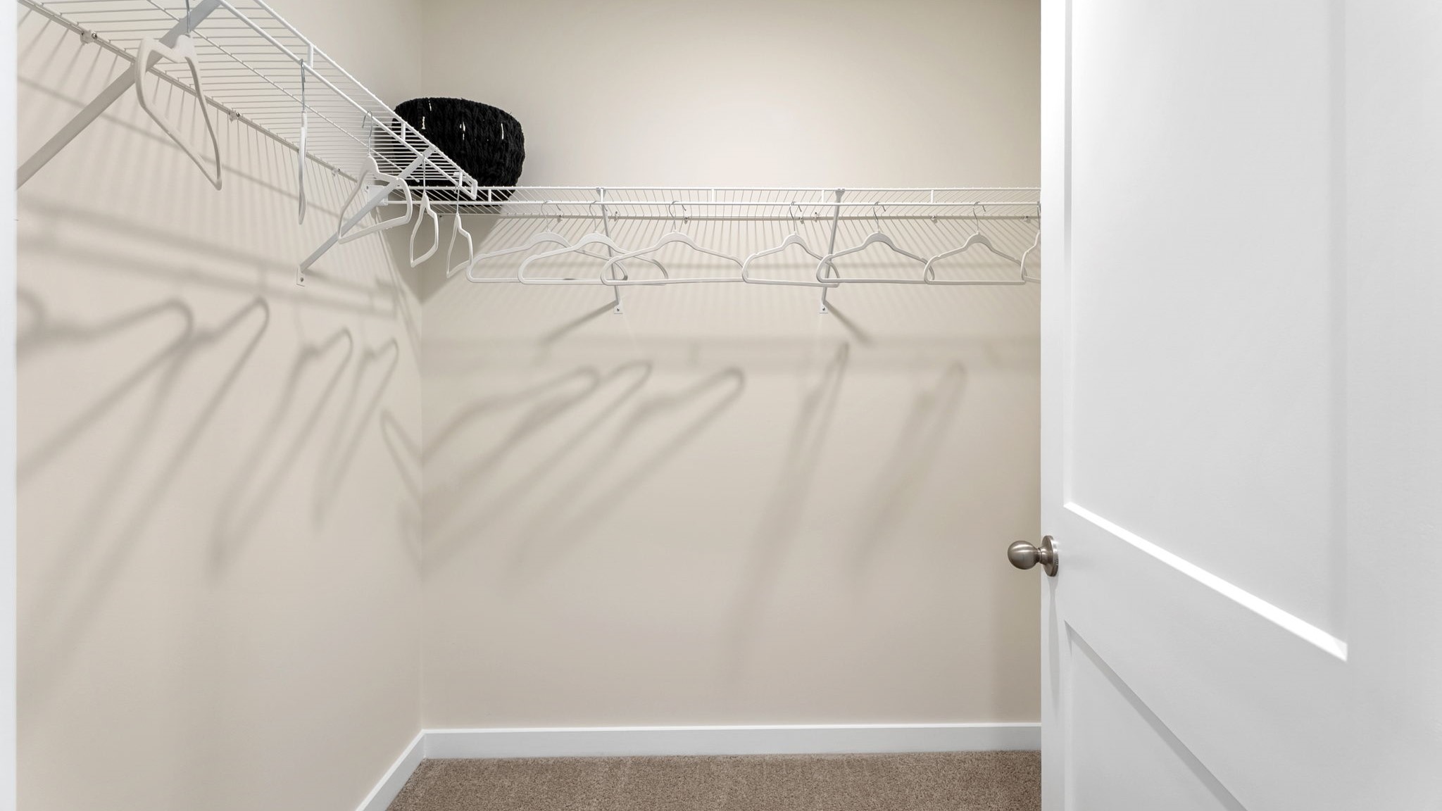 primary bedroom walk-in closet