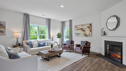 Living room with fireplace