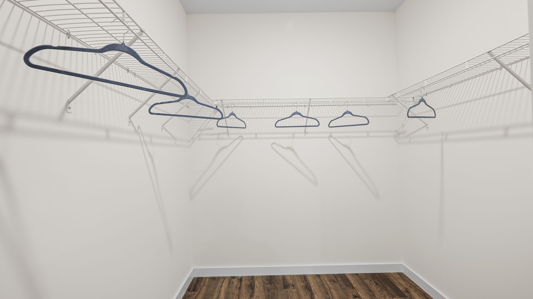 Primary closet with shelving