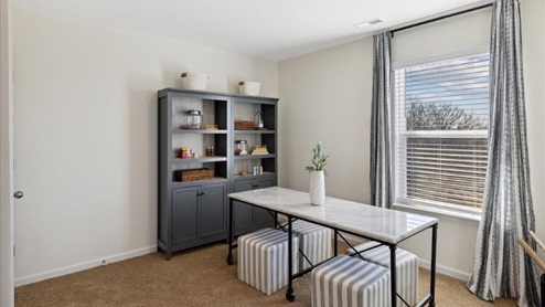 Guest bedroom with window