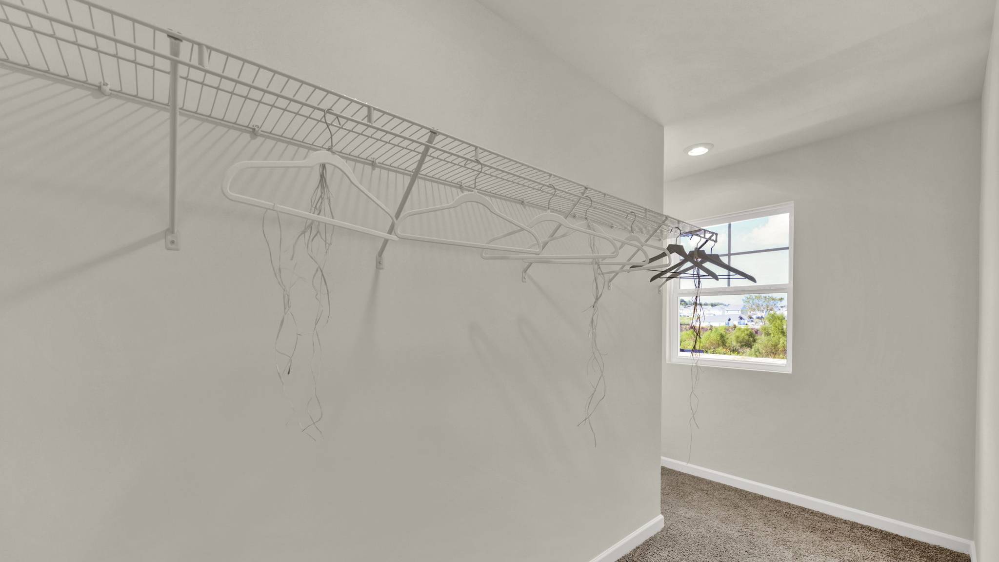 primary bedroom walk-in closet with window
