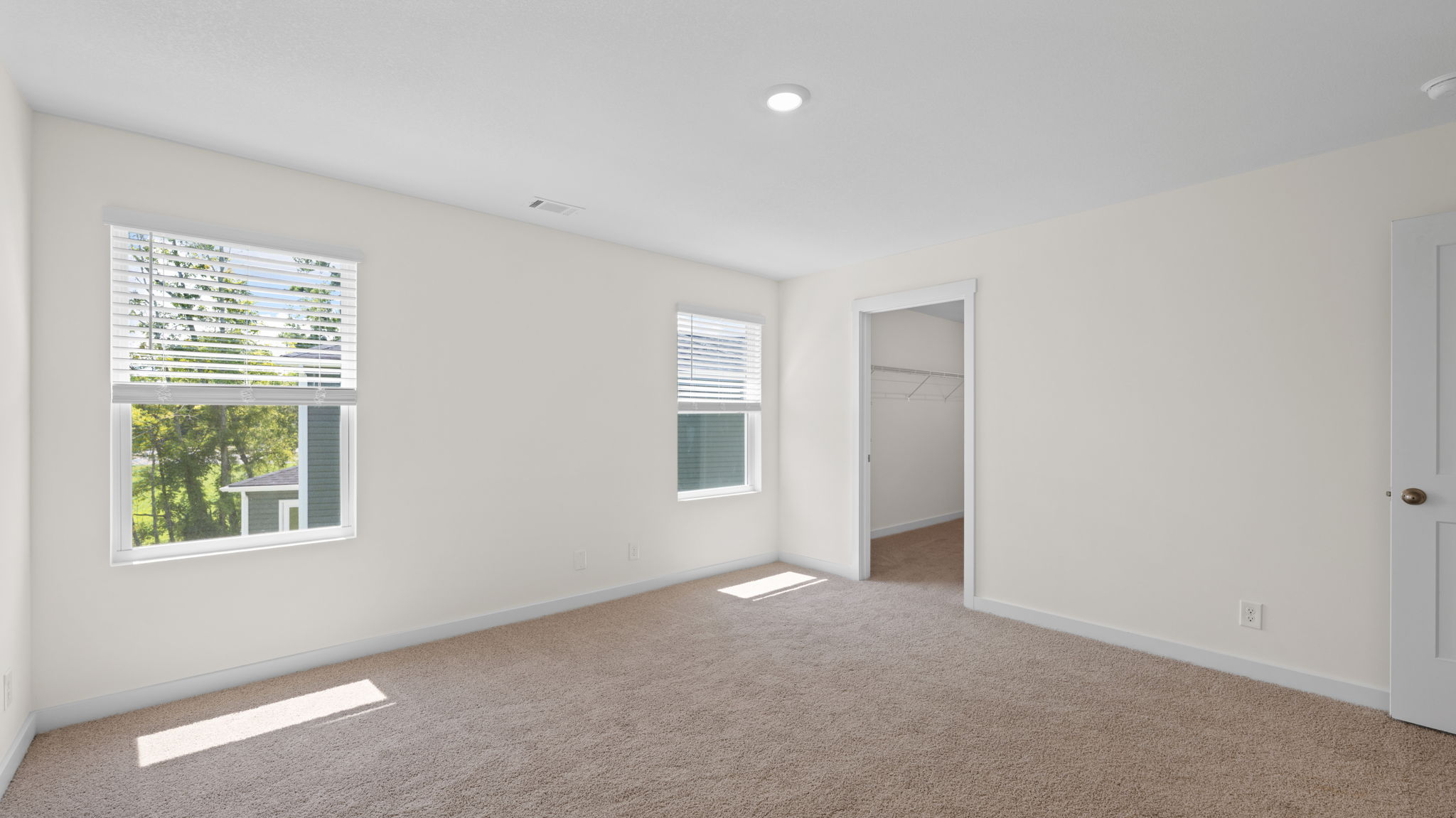 primary bedroom with double windows with carpet and walk in closet