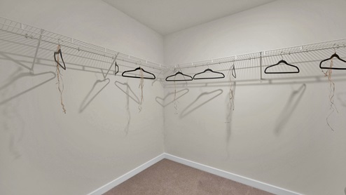 Primary bedroom closet with shelving