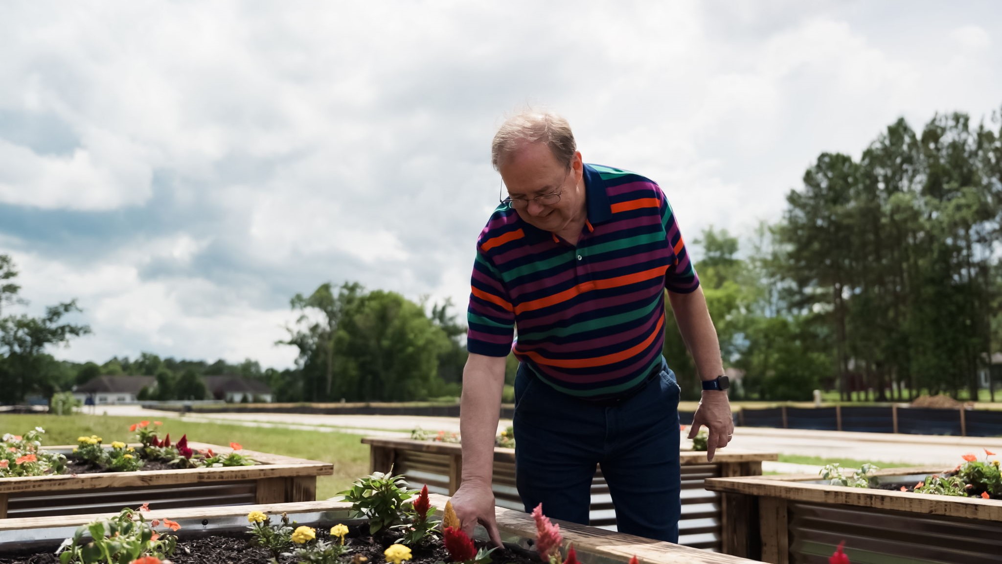 community planter boxes