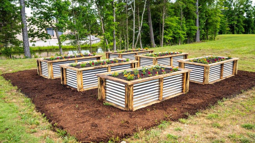 garden and raised beds