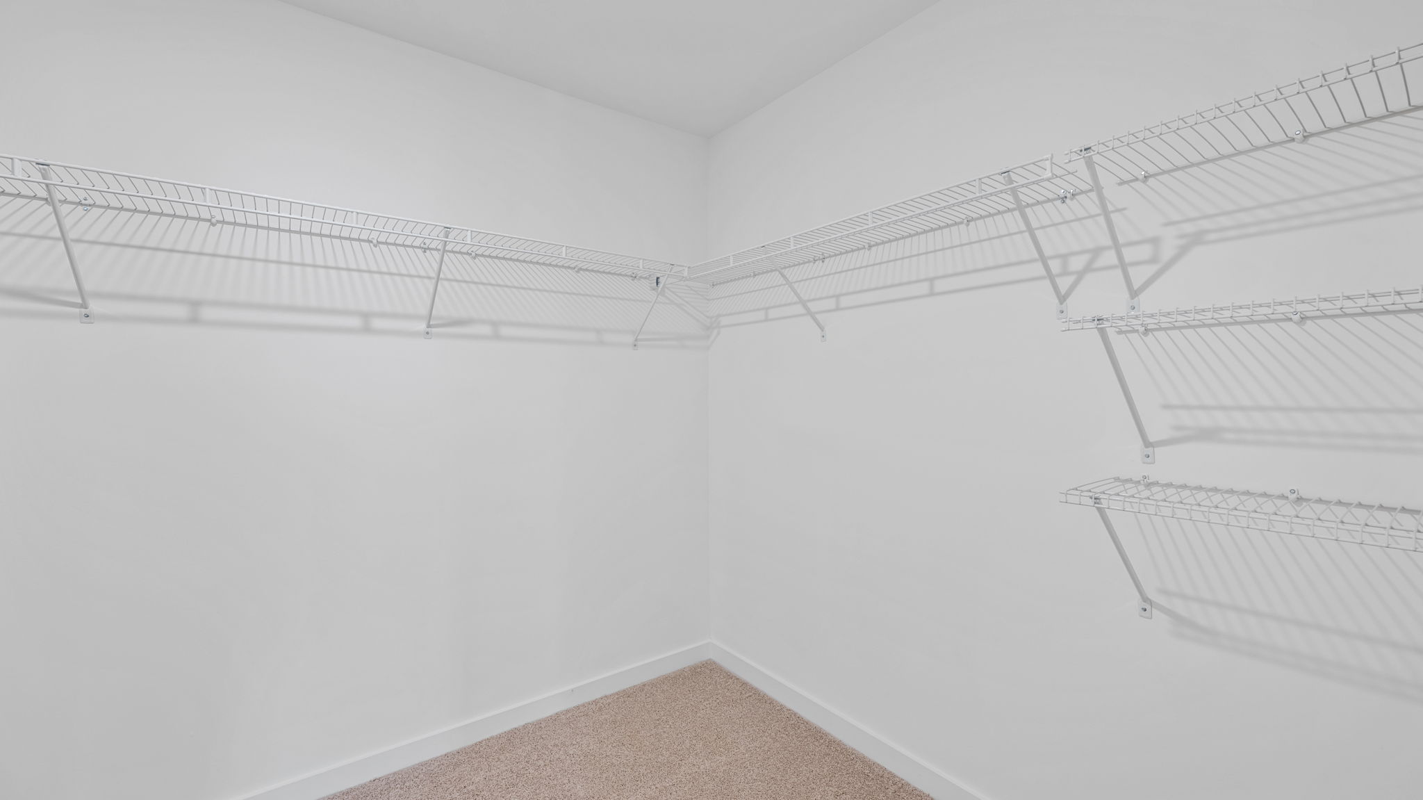 closet with shelving