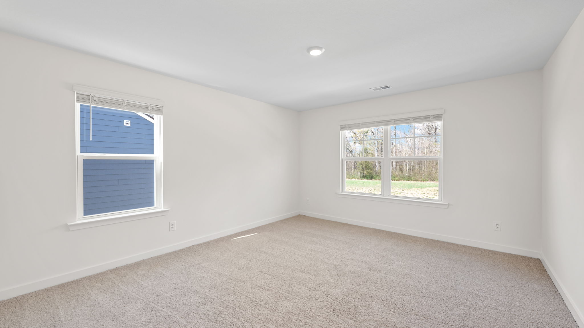 bedroom with carpet and windows