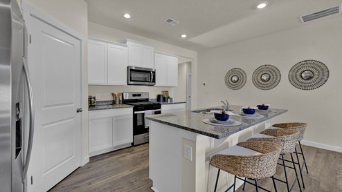 Kitchen with large pantry