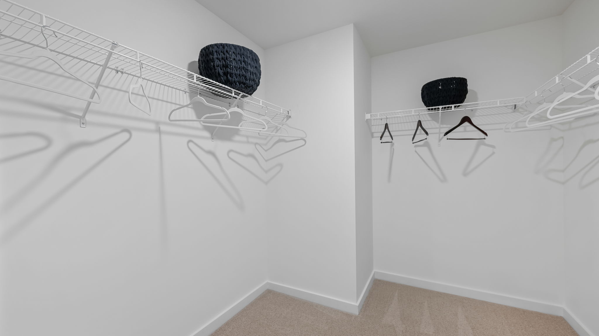 primary closet with shelving