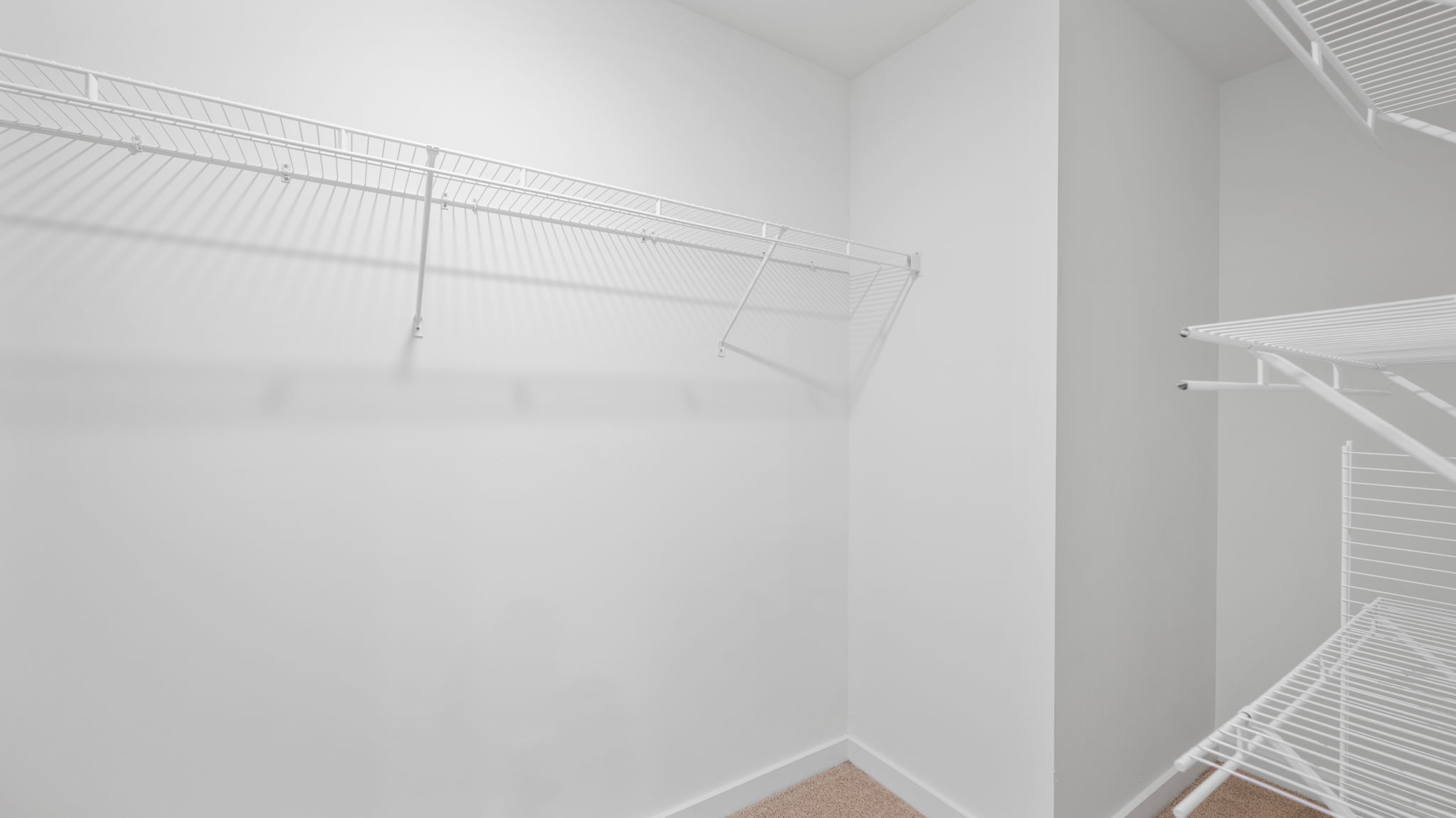 primary walk-in closet