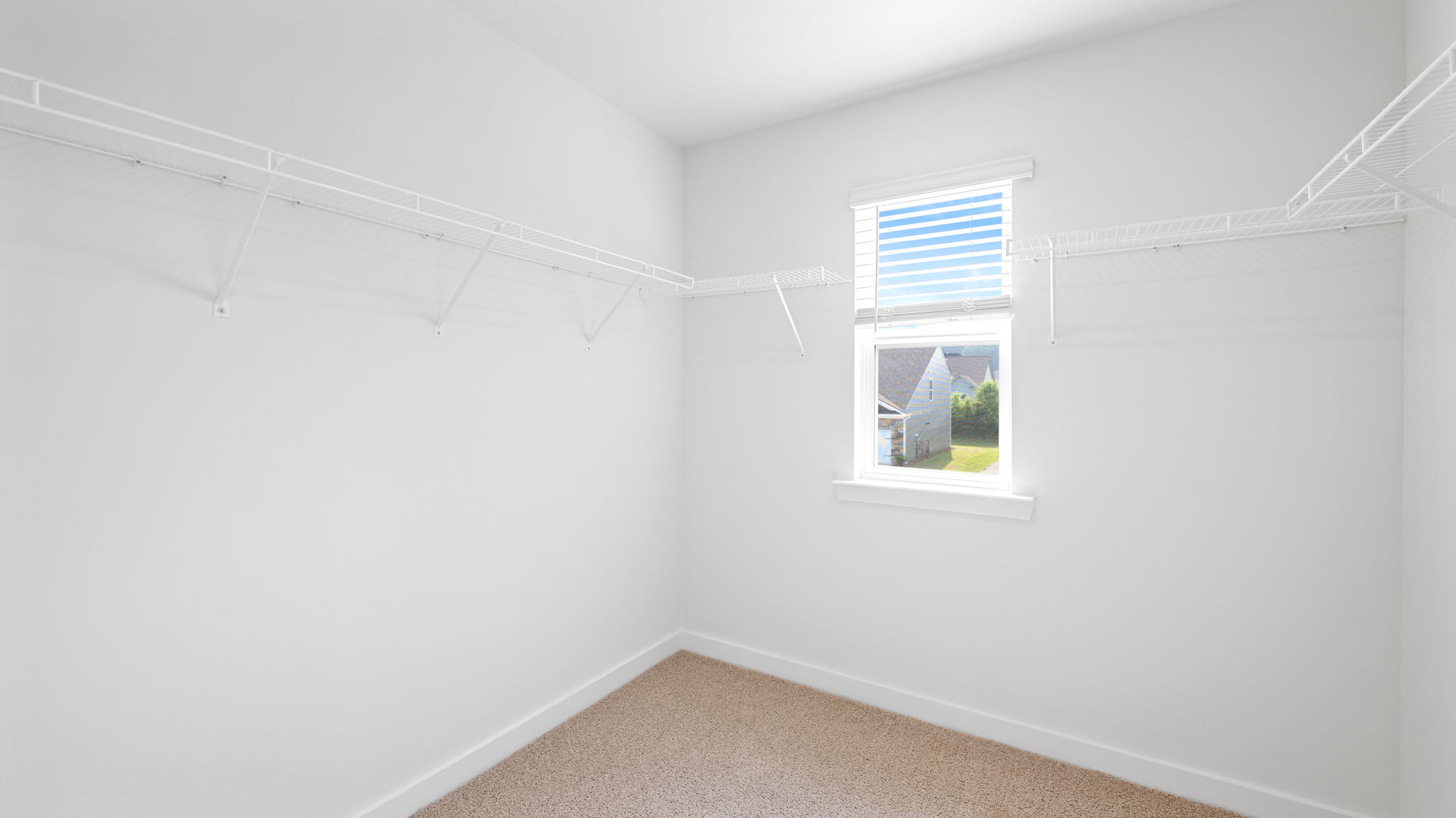 the closet has shelving and carpet