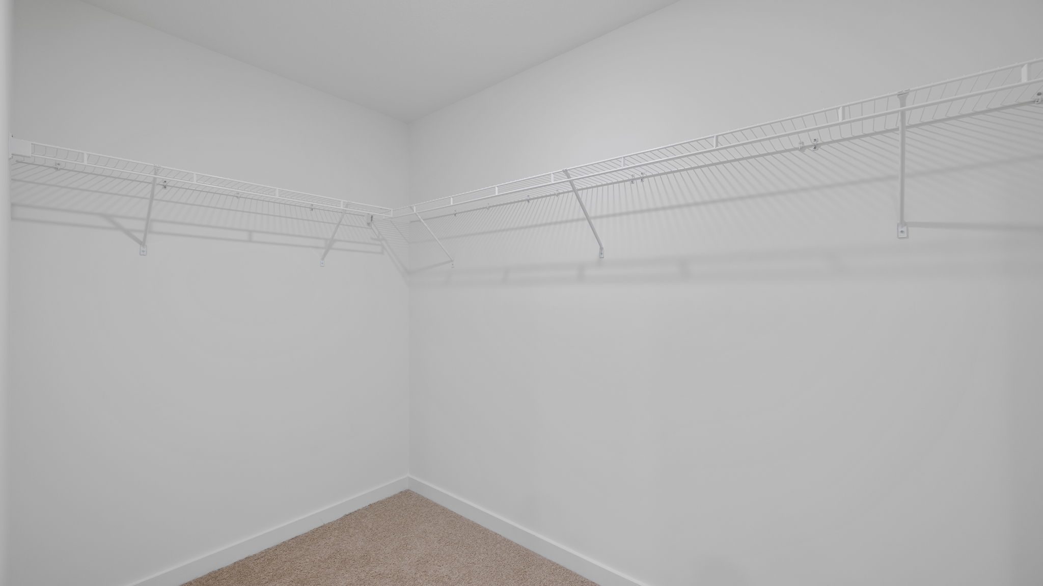 primary bedroom walk-in closet