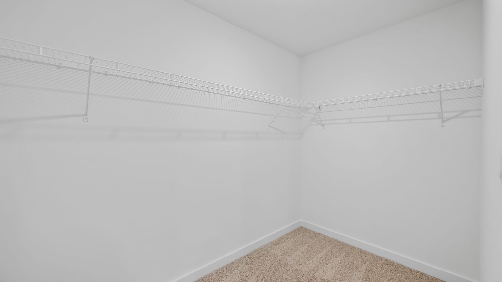 primary closet with shelving