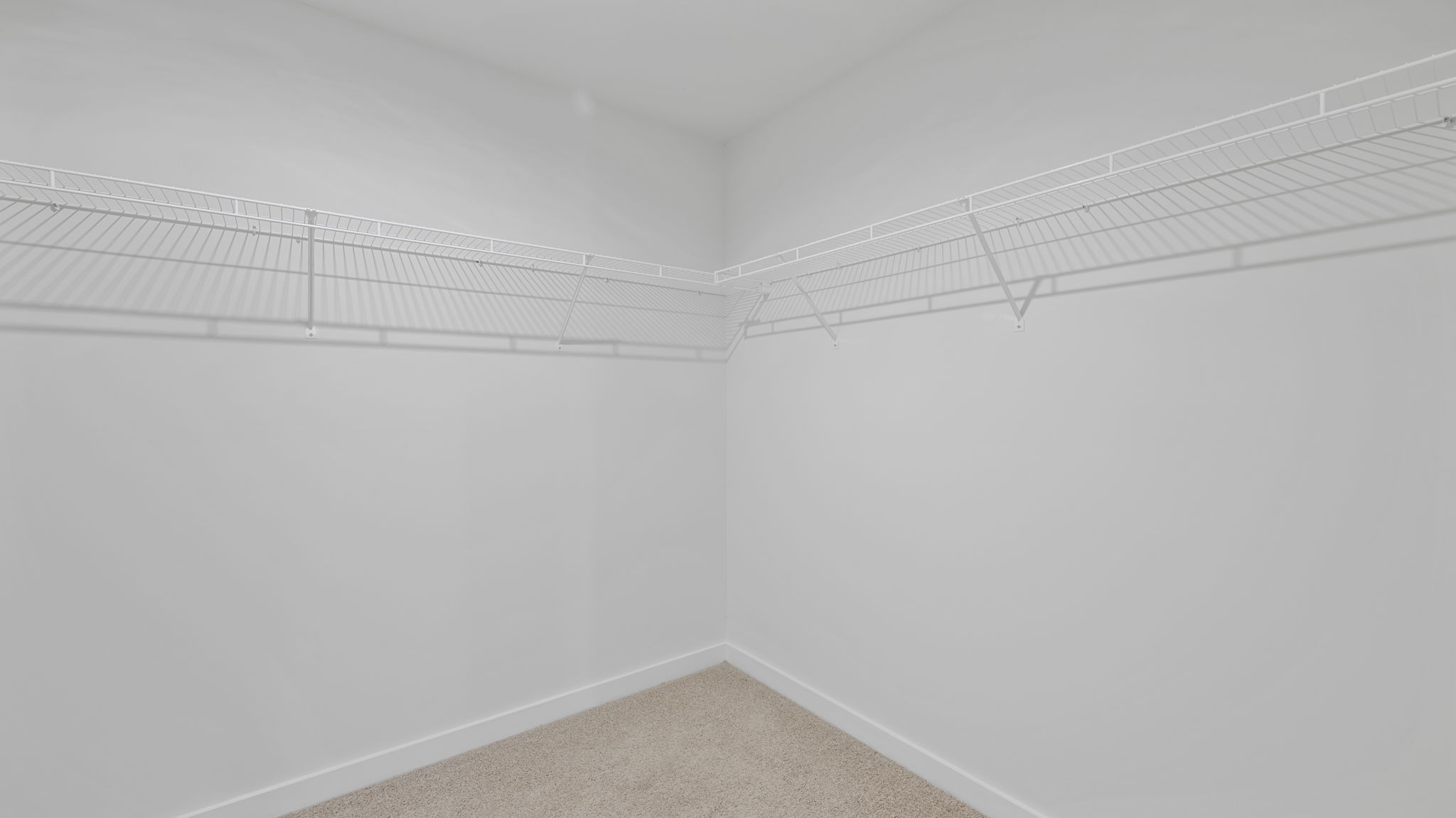 primary closet with shelving