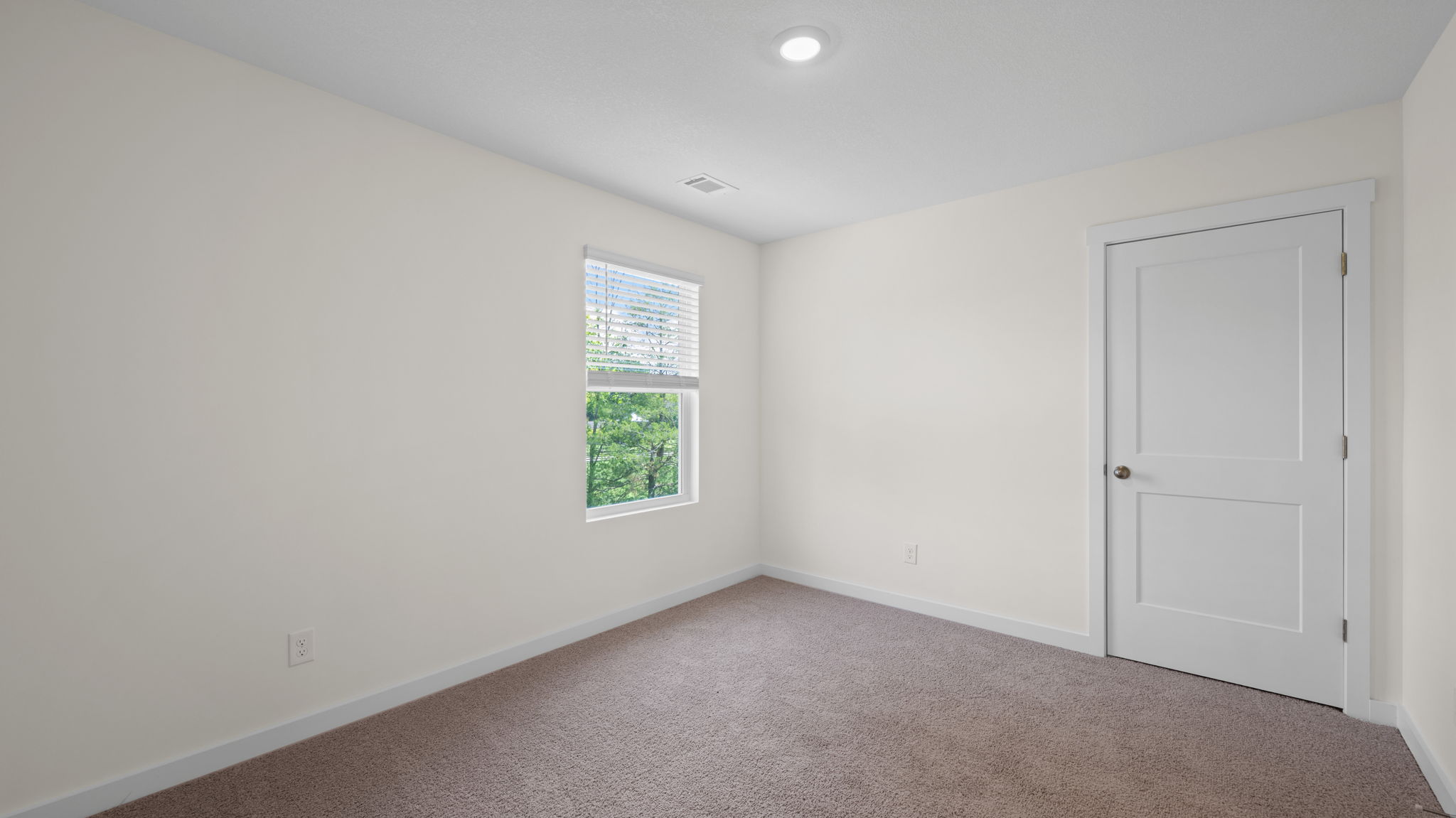 guest bedroom with single window and carpet