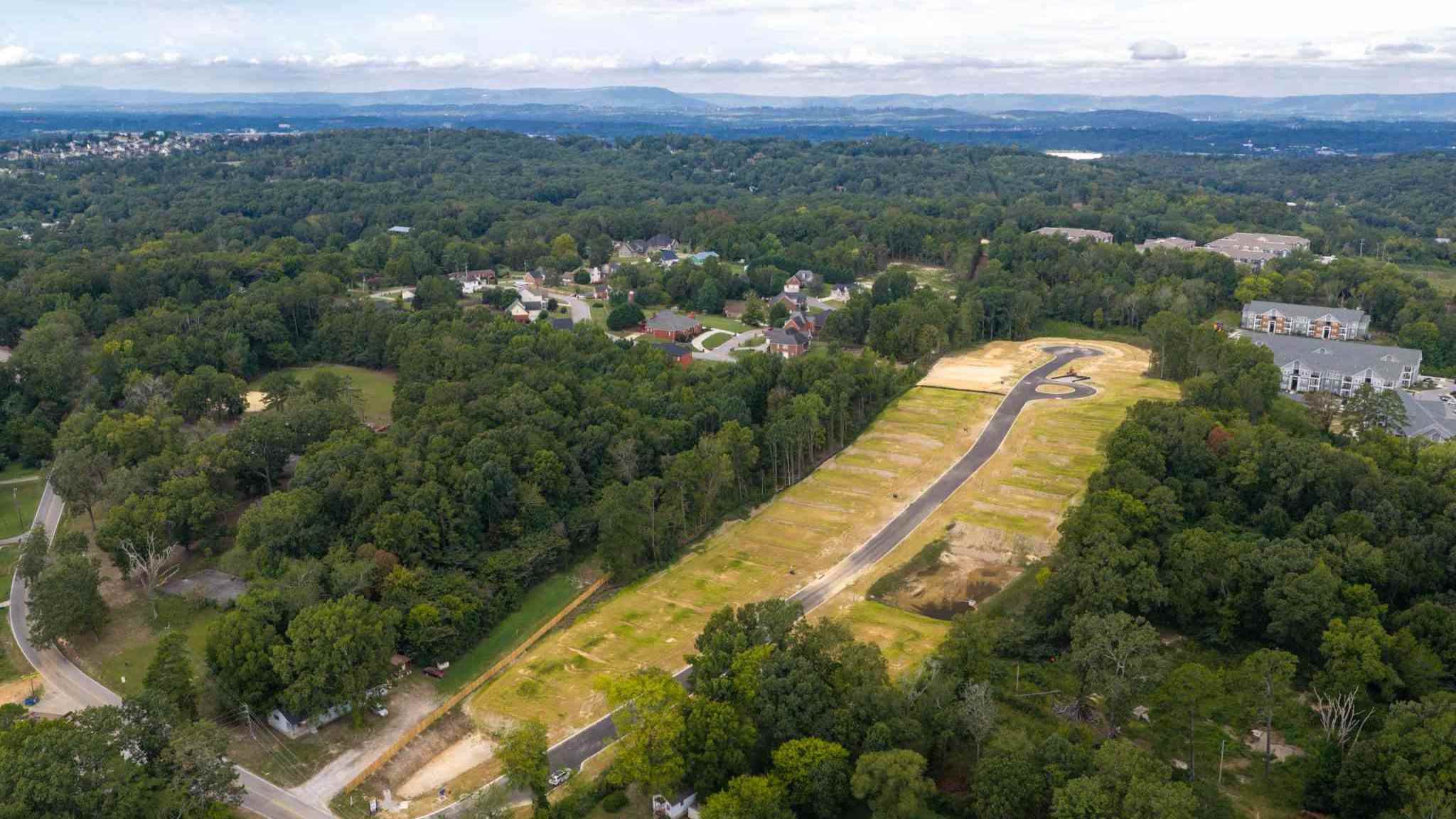 aerial image
